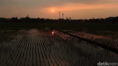 Suasana Sore di Persawahan Dayeuhkolot Bandung