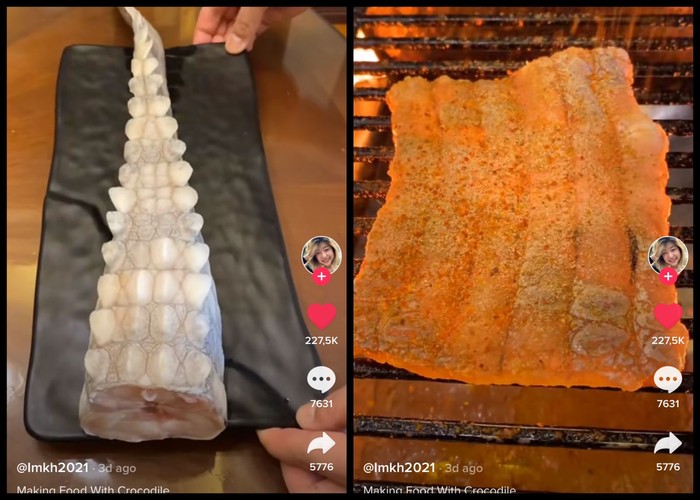 Viral Video Netizen Masak Buntut Buaya Panggang, Ditonton 4 Juta Kali!