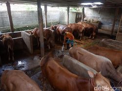10 Barang Jualan Teraneh di Internet, Kotoran Udel Sampai Tanah Kuburan