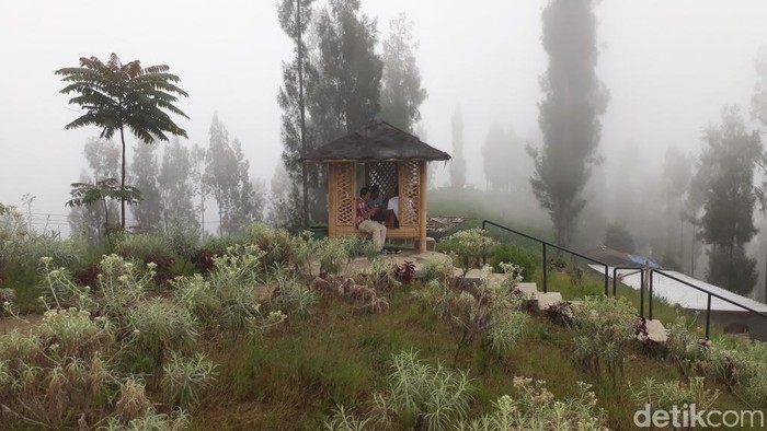 Setelah tutup sejak PPKM Darurat, wisata di Kabupaten Pasuruan akhirnya diizinkan buka. Pembukaan dilakukan bertahap dengan tetap mematuhi sejumlah ketentuan pemerintah.