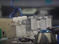 Menengok Bagian Dalam Lab Wuhan yang Teliti Virus Mematikan