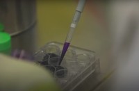 Wuhan Institute of Virology