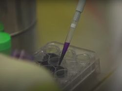 Menengok Bagian Dalam Lab Wuhan yang Teliti Virus Mematikan