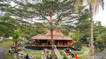 Nongkrong Asyik di Kafe Suasana Puncak Sambil Ngopi dan Ngemil Waffle