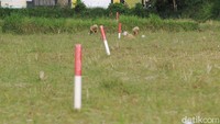 Warga beraktivitas di lahan pertanian yang telah dipatok proyek tol ruas Jogja - Bawen, terletak di Dusun Pundong, Mlati, Sleman, Yogyakarta, Rabu (1/9/2021). 