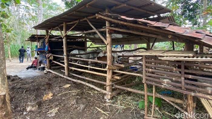 keluarga tinggal di kandang