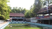 Oleh sebab itu, air di kolam sengaja tak dikuras hingga berwarna hijau. 