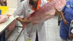 Kompaknya Lydia Kandou saat Masak Bersama Naysila Mirdad
