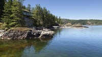 Bungalow Pohon Pinus di British Columbia, Kanada. Jika sebelumnya sekilas seperti bukit, maka bungalow ini terlihat seperti pohon pinus dekat danau. Pembangunan rumah yang tidak biasa dengan menggunakan lumut hijau di atap membuat rumah ini benar-benar menyatu dengan lanskap.