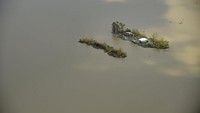 Rumah-rumah warga di Louisiana juga terendam banjir. Hilary Scheinuk/The Advocate via AP, Pool