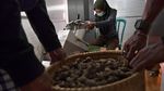 Rempah Pembawa Berkah di Zaman Serbasusah
