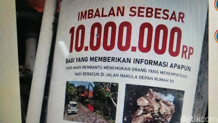 Tiga ekor anjing di Kecamatan Kuta, Badung, Bali diduga mati setelah memakan nasi yang dicampur racun. Pemilik anjing membuat sayembara agar pelaku terungkap. (dok detikcom)