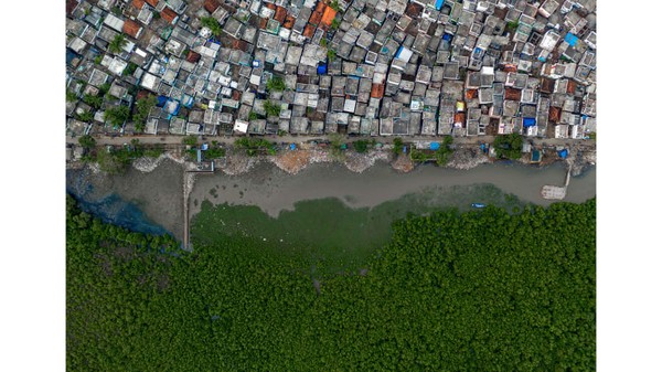 Rawa bakau menyediakan penyangga kehidupan antara Kota Kakinada dan laut di Andhra Pradesh, India, sebagaimana difoto oleh fotografer India, Rakesh Pulapa. Rawa bakau menyediakan penyangga kehidupan antara Kota Kakinada dan laut di Andhra Pradesh, India, sebagaimana difoto oleh fotografer India, Rakesh Pulapa.