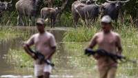 Penjaga hutan berpatroli untuk memastikan hewan-hewan liar tidak terbawa arus banjir,  (1/9/2021).