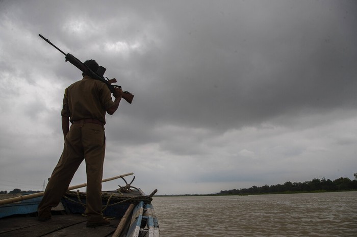 banjir india A one-horned rhinoceros wades through flood waters in Pobitora wildlife sanctuary on the outskirts of Gauhati, India, Wednesday, Sept. 1, 2021. The wildlife sanctuary in the north eastern Assam state is known for its Indian one-horned rhino population. (AP Photo/Anupam Nath)