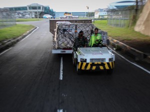 1,8 Juta Dosis Vaksin Sinovac Tiba di Indonesia