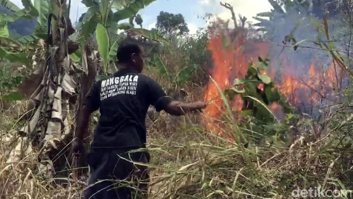 Lereng gunung Walat Sukabumi terbakar