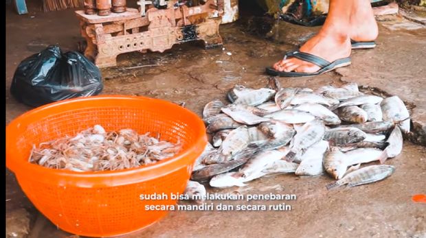 Mancing di Waduk Malahayu, Nelayan Bayar Rp 500 Kalau Dapat Ikan 1 Kg