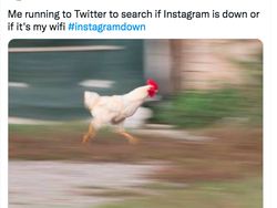 Instagram Down Jadi Bahan Meme Kocak