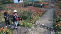 Jika terus diperpanjang, bukan tidak mungkin sang pemilik harus menunggu hingga setahun mendatang.