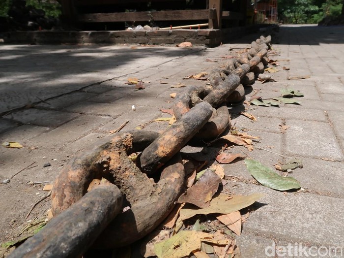 Rantai raksasa sekitar 2 ditemukan di Bantul, Kamis (2/9/2021).