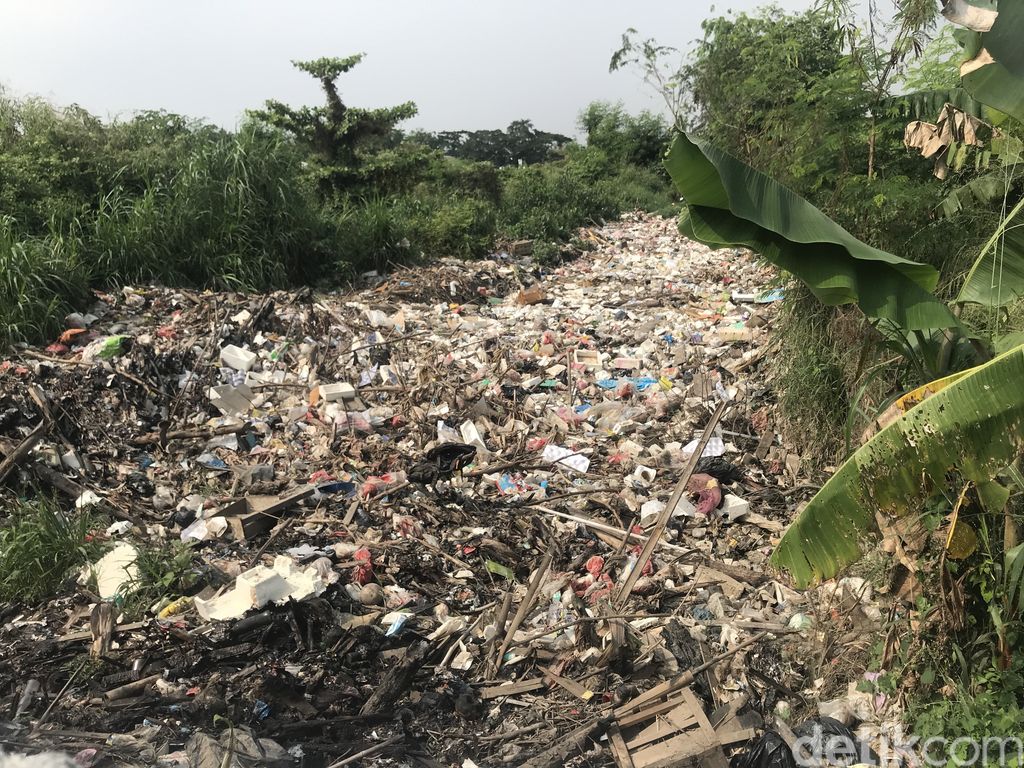 Sampah di Kali Busa, Desa Satriamekar, Tambun Utara, Kabupaten Bekasi, 2 September 2021. (Faiz Iqbal Maulid/detikcom) Sampah di Kali Busa, Desa Satriamekar, Tambun Utara, Kabupaten Bekasi, 2 September 2021. (Faiz Iqbal Maulid/detikcom)