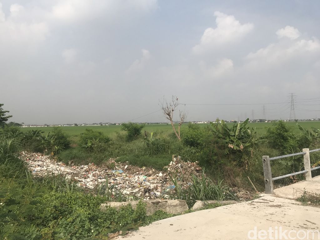 Sampah di Kali Busa, Desa Satriamekar, Tambun Utara, Kabupaten Bekasi, 2 September 2021. (Faiz Iqbal Maulid/detikcom) Sampah di Kali Busa, Desa Satriamekar, Tambun Utara, Kabupaten Bekasi, 2 September 2021. (Faiz Iqbal Maulid/detikcom)