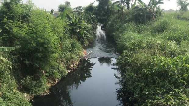 Sisi sebelah utara jembatan Kali Busa yang bersih dari sampah.