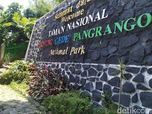 Naik Gunung Pangrango Secara Ilegal, 13 Pendaki Masuk Daftar Hitam!