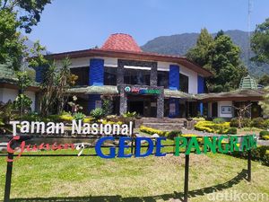 Gunung Gede Pangrango Ditutup Pertengahan Agustus!