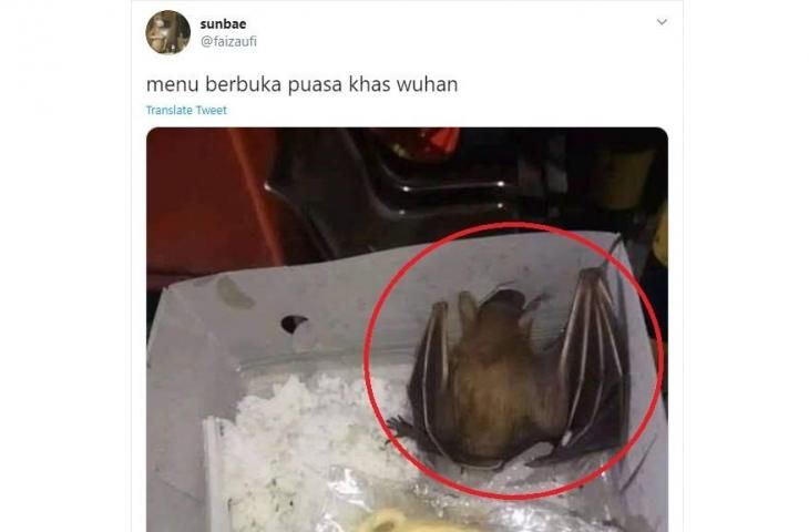Bikin Elus Dada, 5 Nasi Kotak Ini Isinya Kelelawar hingga Beras Mentah