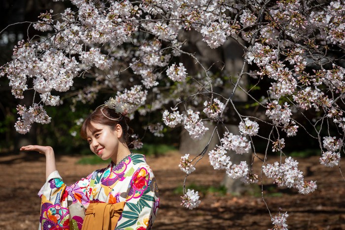 TOKYO, JAPAN - MARCH 23: People visit a park during the cherry blossom bloom on March 23, 2021 in Tokyo, Japan. On March 14, the Japan Meteorological Corporation declared the arrival of this years cherry blossom season after spotting five blooms on its sample tree in Tokyo, recording two years in a row the earliest date since records began in 1953. (Photo by Yuichi Yamazaki/Getty Images)