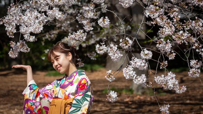 TOKYO, JAPAN - MARCH 23: People visit a park during the cherry blossom bloom on March 23, 2021 in Tokyo, Japan. On March 14, the Japan Meteorological Corporation declared the arrival of this years cherry blossom season after spotting five blooms on its sample tree in Tokyo, recording two years in a row the earliest date since records began in 1953. (Photo by Yuichi Yamazaki/Getty Images)