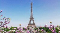 Keindahan menara Eiffel di Paris, Prancis, menjadi daya tarik wisatawan mancanegara. Landmark kota Paris ini semakin indah saat bunga-bunga bermekaran. Dok. USAToday  