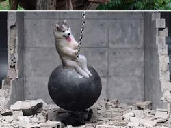 Foto Editan Pakar Photoshop Ini Keren Tapi Kocak, Auto Bikin Ngakak