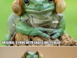 Foto Editan Pakar Photoshop Ini Keren Tapi Kocak, Auto Bikin Ngakak