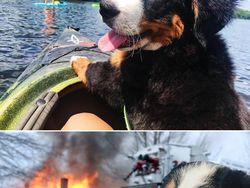 Foto Editan Pakar Photoshop Ini Keren Tapi Kocak, Auto Bikin Ngakak