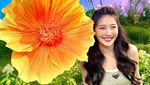 10 Potret Joy Red Velvet yang Beneran Bikin Spark Joy!