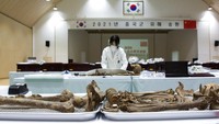 Anggota MND Agency for KIA Recovery and Identification (MAKRI) Korea Selatan, menata jenazah tentara China yang tewas dalam Perang Korea sebelum dimasukkan ke peti mati di Incheon, Korea Selatan, Rabu (1/9/2021) waktu  setempat.  