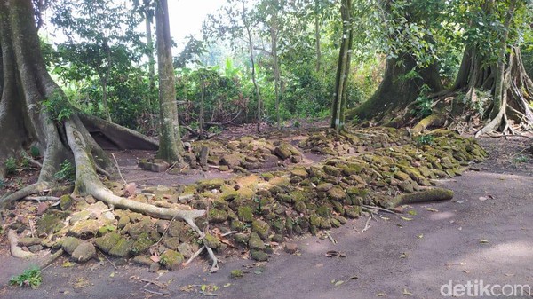 Situs Ngloram merupakan tinggalan sisa sejarah yang penting dan harus dijaga. Di lokasi terdapat batu bata kuno yang berserakan dan bertumpuk di satu lokasi. Situs Ngloram merupakan tinggalan sisa sejarah yang penting dan harus dijaga. Di lokasi terdapat batu bata kuno yang berserakan dan bertumpuk di satu lokasi.