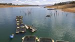 Gegara Waduk Kering, Kota Megapolitan Super Kaya Ini Krisis Air