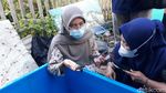 Foto: Dulu Diburu, Kini Warga Bantul Lestarikan Penyu