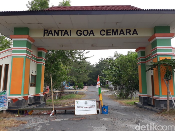 Dulu Diburu, Warga Pesisir Pantai Bantul Pilih Lestarikan Penyu