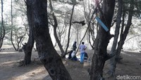 Awal mula penangkaran, dia mencari telur penyu dan menetaskannya di dalam buis beton. Ternyata hal tersebut berbuah manis. Bagyo bersama rekan-rekannya mulai mengumpulkan telur penyu di sekitar Pantai Goa Cemara. (Pradito Rida Pertana/detikTravel)