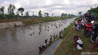 Dikonfirmasi terpisah, Juru Pengairan Wilayah Sobontoro, Mesaji, menyatakan kegiatan flushing merupakan agenda rutin pengairan. Pengosongan dam dilakukan untuk perawatan infrastuktur dam.