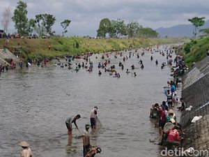 Saat Ribuan Warga Tulungagung Berburu Ikan Saat Dam Boyolangu Dikuras