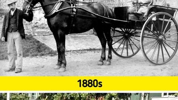 Transportasi dulu pakai hewan, sekarang sudah berteknologi mesin. Foto: Brightside