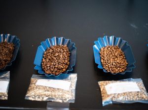 Indonesia Coffee Cupping 2021 di Den Haag Promosikan 36 Specialty Coffee Indonesia