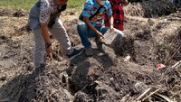 Penemuan uang kuno tersebut terjadi beberapa waktu lalu. Saat ini lokasi penemuan uang kuno sudah diamankan pihak desa. Lokasi penemuan,sudah ditutup dan sudah tidak ada lagi warga yang melakukan pencarian uang kuno. 