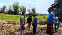 Warga salah satu desa di Lamongan diramaikan dengan penemuan uang koin kuno atau yang biasa disebut dengan uang kepeng di areal persawahan.